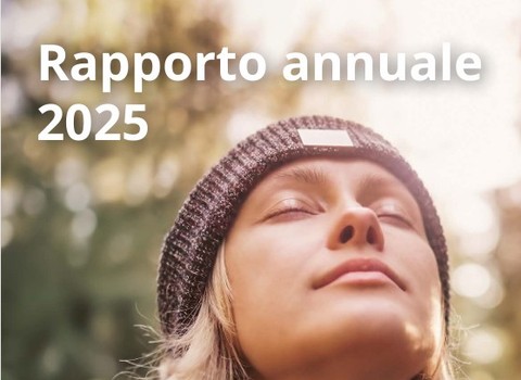 Immagine diRapporto annuale 2025
