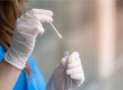 Immagine diFocus sul microbioma delle vie respiratorie