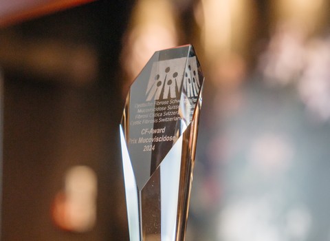 Immagine diPremio FC 2026: votate ora!