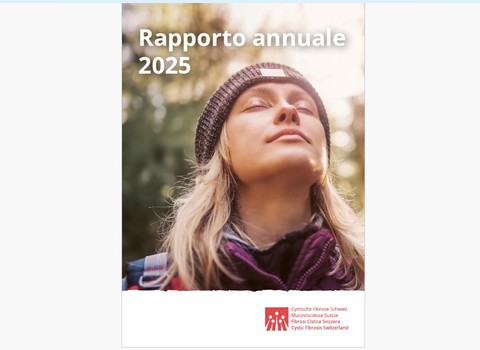 Immagine diRapporto annuale 2025