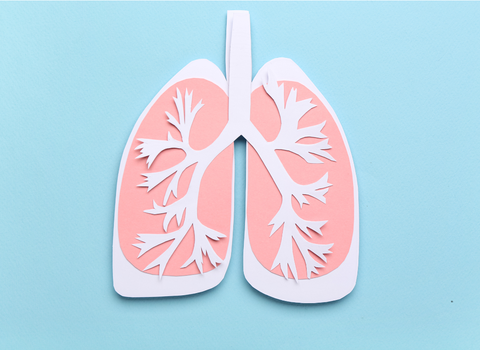 Immagine diLa fibrosi cistica nell’era dei modulatori CFTR